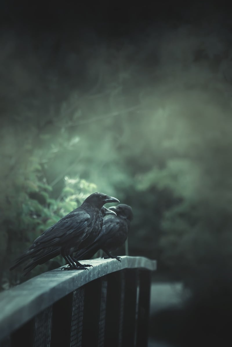 Haunting whispers